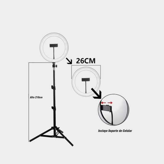 ARO DE LUZ 26CM 3 TONOS
